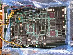 専用ケージにセット